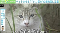 最大約30％の致死率 “ダニ媒介”感染症に専門家「山では肌の露出を避けて」