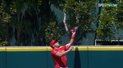 大谷翔平も"ワオ！"のリアクション トラウトが守備で魅せたフェンス際ホームランキャッチにファン「さすがやで」「全力プレー最高です」