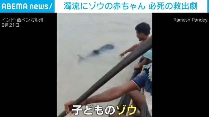 インド