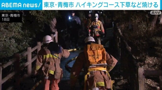 現場のハイキングコース