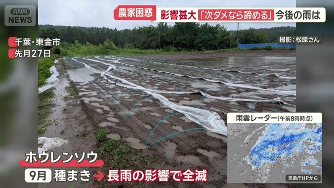 水分を多く含んだ畑