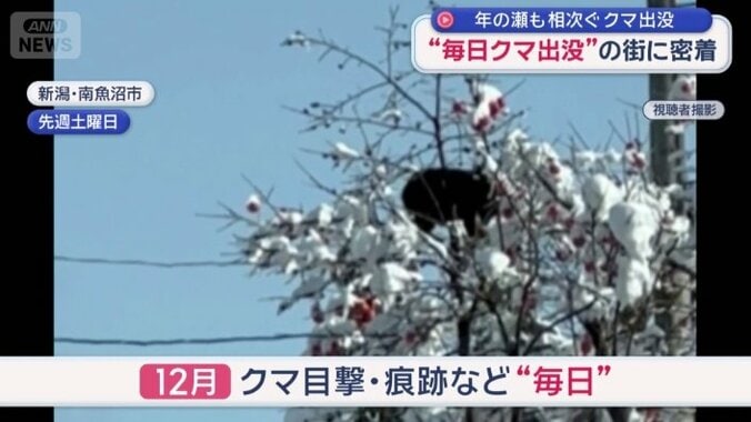 新潟県南魚沼市