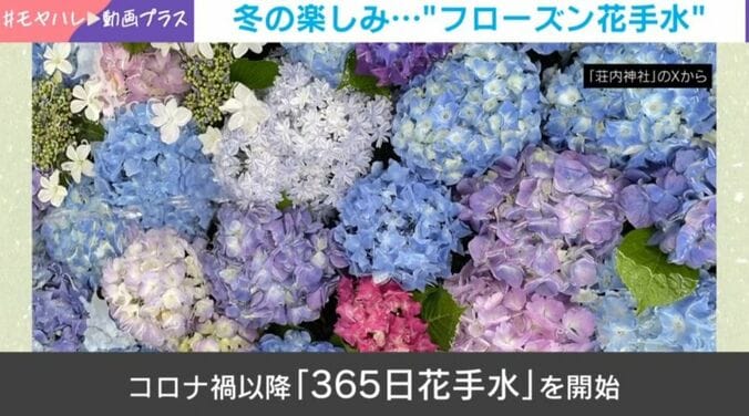 フローズン花手水