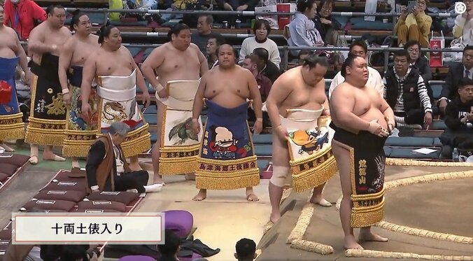 「めっちゃ似てる」力士と化粧まわしが“キャラかぶり” 愛くるしい姿に反響 3枚目