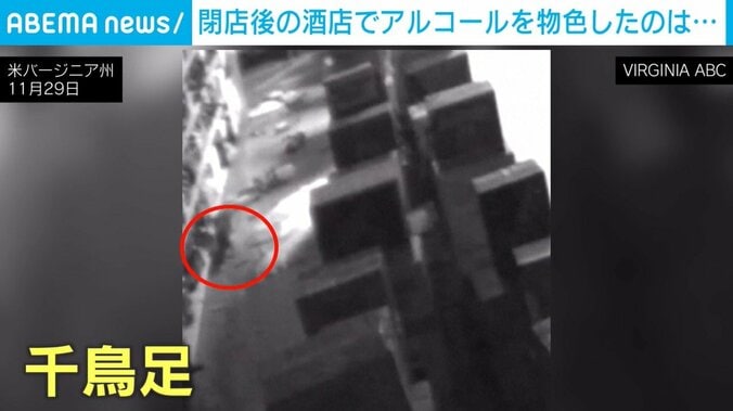 千鳥足の泥酔アライグマ