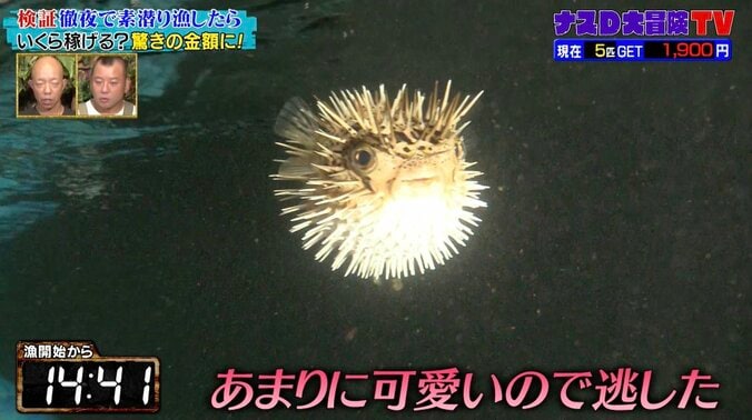 【写真・画像】ハリセンボンと蟹の不思議な合体シーンに井上咲楽が悶絶…予想外の超キュートな姿に「何これ、かわいい〜」