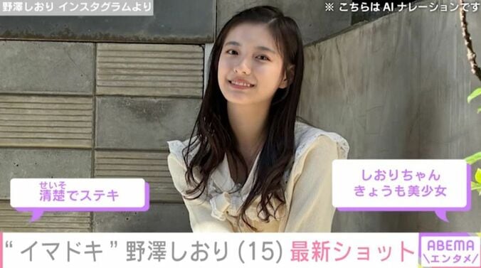 野澤しおりのInstagram