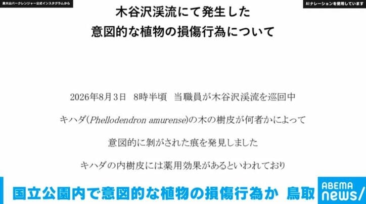 木谷沢渓流にて発生した意図的な植物の損傷行為について