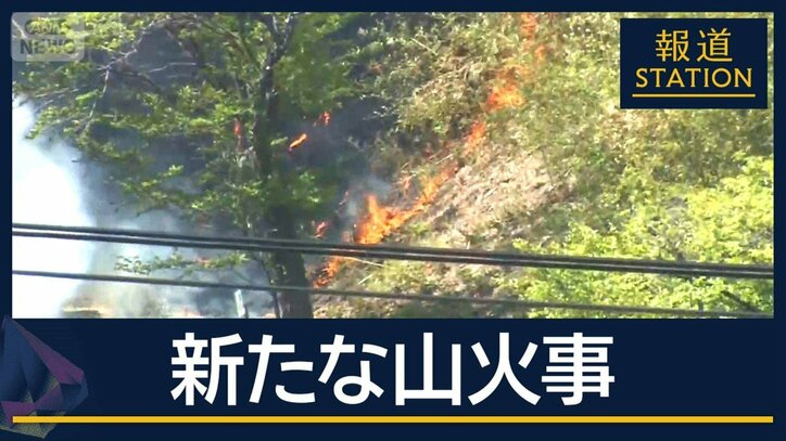 大規模な山林火災から2週間…大槌町で新たな山火事　前回の現場はクマが鎮火阻む