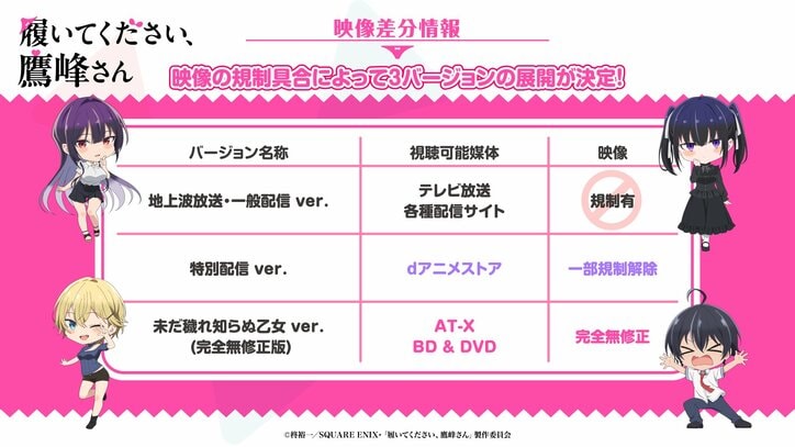 アニメ「履いてください、鷹峰さん」バージョン解説表