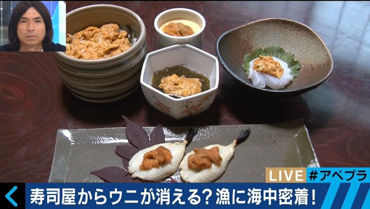 寿司屋からウニが消える？漁獲量を減少させる「磯焼け」とは