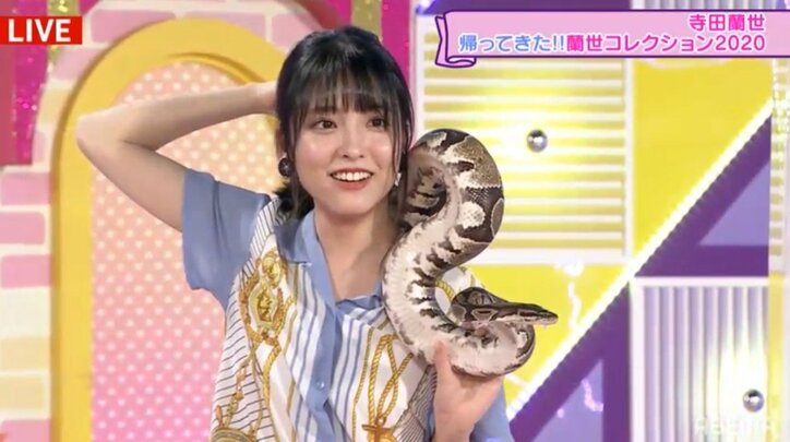 “水も滴るいい女”清宮レイが勝利に歓喜、田村真佑は珍味を食して半泣きに【乃木坂電視台 Part4】