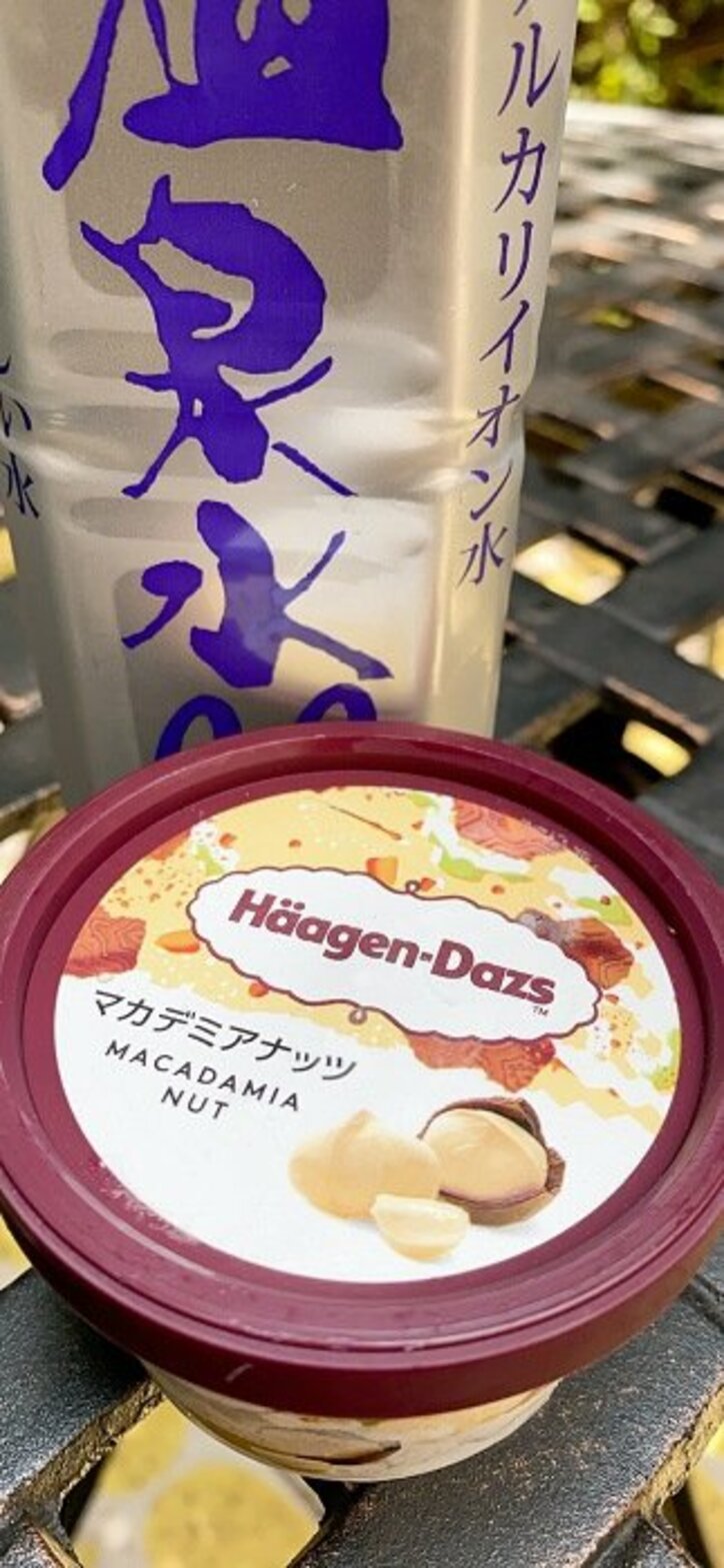 堀ちえみ、アイスを食べて思わぬハプニング「一生忘れないと思いました」