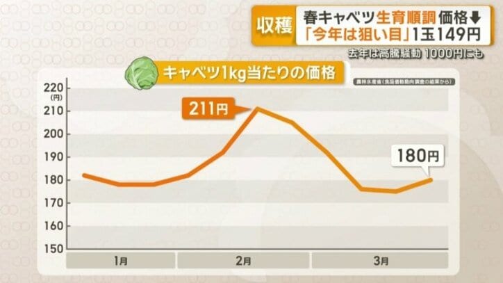 キャベツ1キロあたりの価格