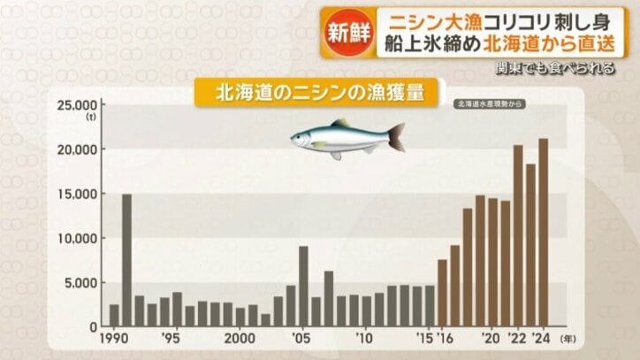 北海道のニシンの漁獲量