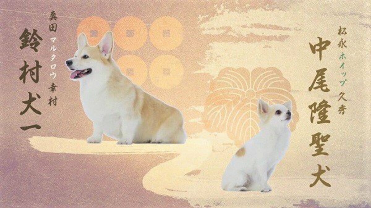 写真 モッフモフ 新人 声優の中尾隆聖犬 鈴村犬一ら ニュース Abema Times 写真 モッフモフ 新人 声優の中尾隆聖犬 鈴村犬一ら ニュース Abema Times