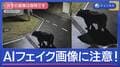 クマの衝突事故“最多”に　フェイク動画も