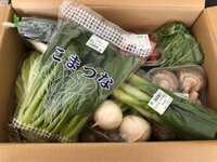 保田圭、初めてのふるさと納税　返礼品の野菜に母と感激