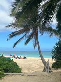 キャシー中島『可愛い雑貨の誘惑に』