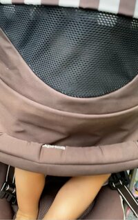 金田朋子『心霊写真ではありません(笑)』