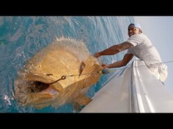 【衝撃映像】2メートル、158キロ怪物巨大魚 VS. NBAプレイヤー　勝つのはどっちだ！？