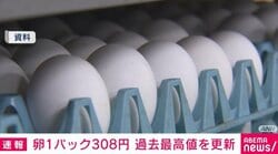 卵1パック308円 過去最高値を更新