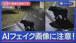 クマの衝突事故“最多”に　フェイク動画も