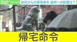 会社「自己判断で帰宅してもいいですよ」→帰ると“早退”になる？ 意外と知らない天候不良時の給与問題