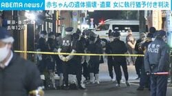 赤ちゃんの遺体損壊・遺棄 女に執行猶予付き判決