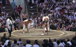 「どうしても気になっちゃう」大相撲中継、親方の背後に“ただならぬ存在感”の人物 「イカつすぎる」「オーラが違う」