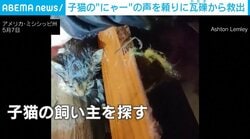 瓦礫から聞こえる鳴き声…竜巻被害の中から子猫を救出したのは「猫アレルギー」の男性だった！引き取り希望が殺到 米