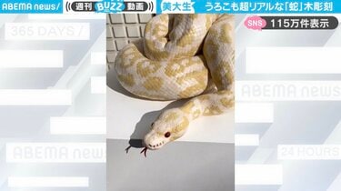 美大生による“ヘビの木彫り彫刻” 超リアルな造形に絶賛の嵐！「生き