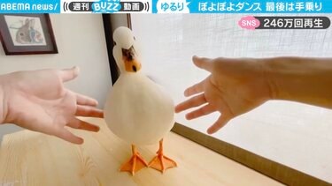 運動するアヒル！！！！！！！ アヒルのボディが左右に“ぽよぽよ” 飼い主のタッチに合わせた