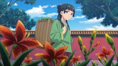 アニメ「薬屋のひとりごと」猫猫（まおまお）と壬氏、実の父親と母親と