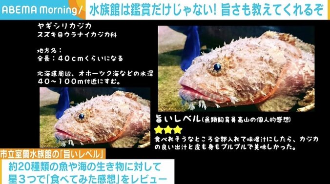 鑑賞だけじゃない！ 魚の“旨いレベル”も伝える市立室蘭水族館、職員ならぬ“食員”の熱意 2枚目