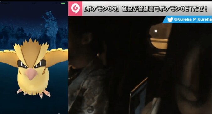 たぶん世界初！『ポケモンGO』首都高１周して出現ポケモンの検証・実況してみた 16枚目