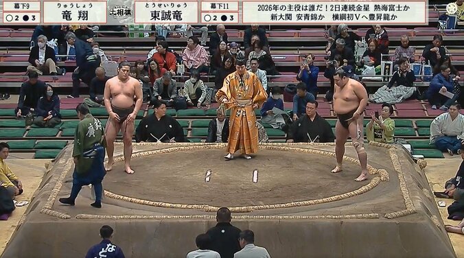 手足がスラリと伸びた体躯