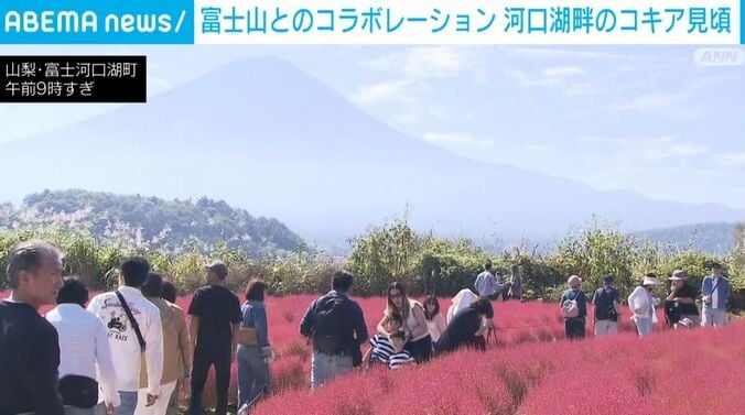 山梨・富士河口湖町の公園