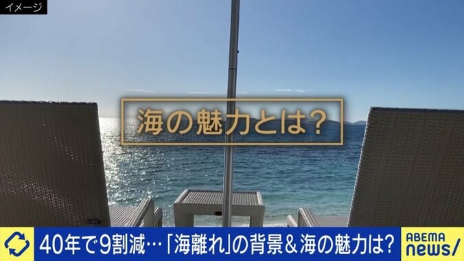 海離れが加速