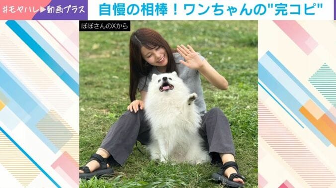 ぽぽくん