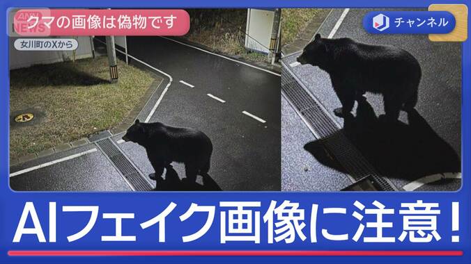 クマの衝突事故“最多”に　フェイク動画も 1枚目