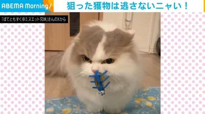 ぽてとくん