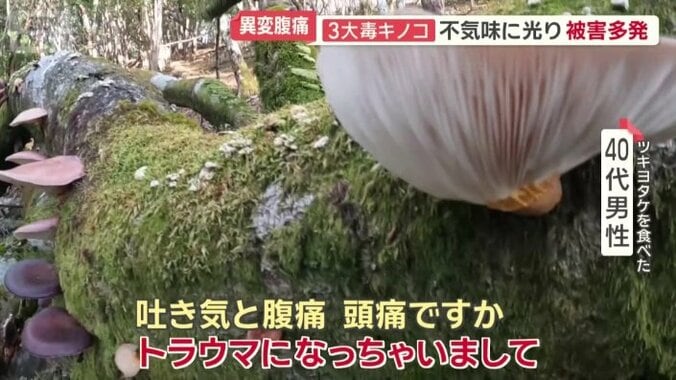 ツキヨタケを食べた40代男性