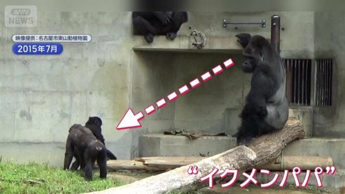 子どもを優しく見守る姿