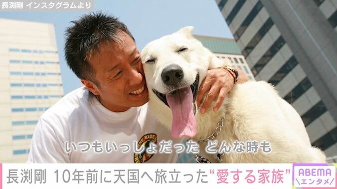 【写真・画像】長渕剛、10年前に天国へ旅立った愛犬・レオくんとの思い出ショットに反響「とても剛さんにそっくり」　1枚目