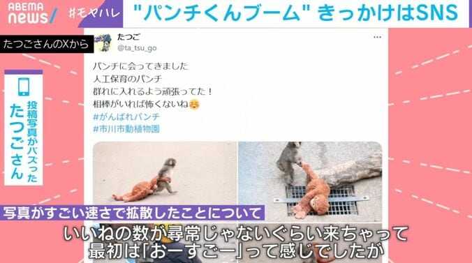 たつごさんのXから