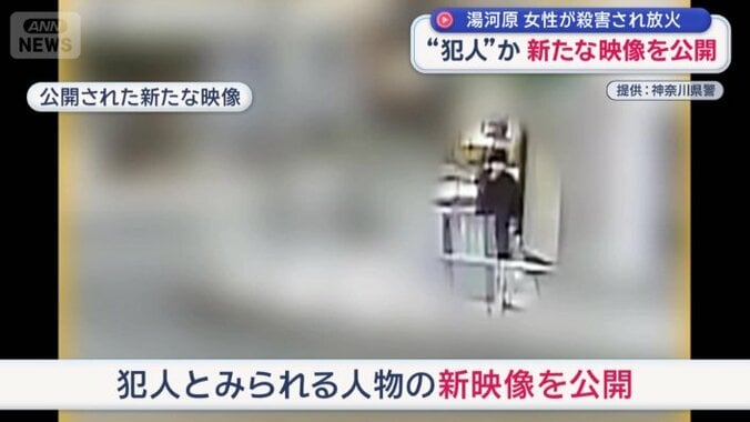 公開された新たな映像