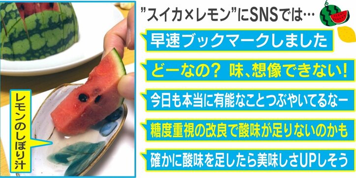 塩の時代はもう終わり!? JA全農が紹介した”新しいスイカの食べ方”がトロピカルで美味しいと話題に