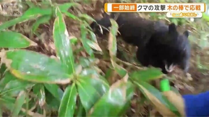 20秒を超えるクマとの格闘