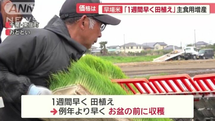 田植えを1週間早めた